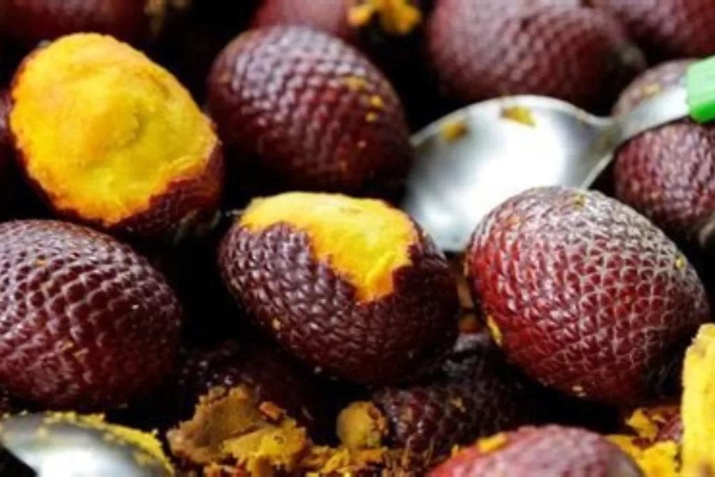 Buriti: A Fruta da Pele, do Olhar e da Alma