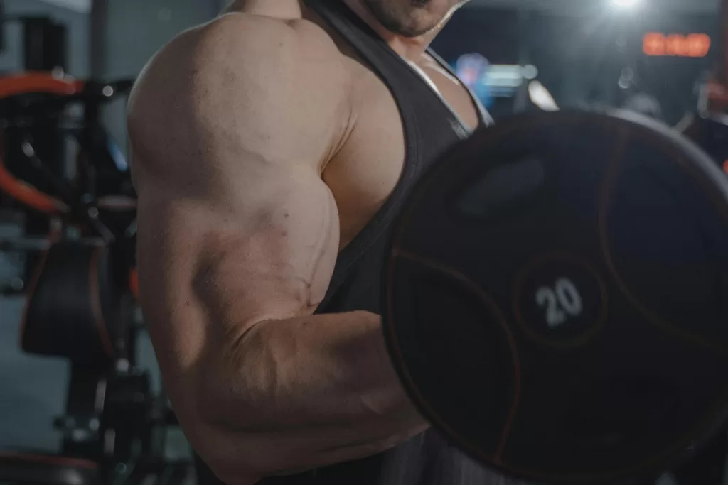 Impactos Hormonais Positivos da Musculação